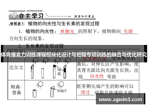 体育爆发力训练课程模块化设计与短程专项训练的融合与优化研究